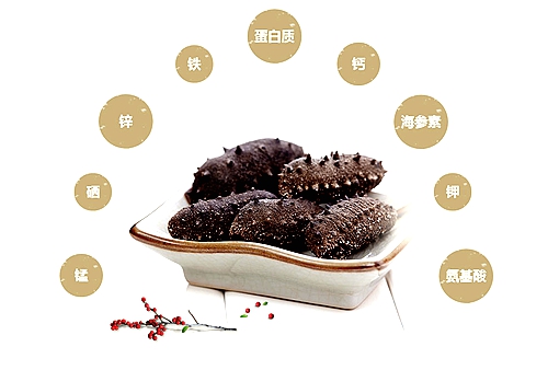 煙臺(tái)海參批發(fā)之骨片的學(xué)問