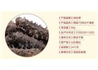 海參的清淡吃法都有那些？
